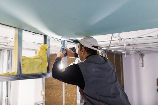 Insulation Repair Services in Momence, IL