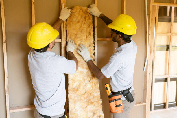 Professional Insulation Contractor in Momence, IL