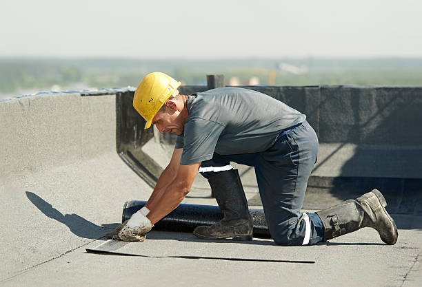 Best Attic Insulation Installation  in Momence, IL