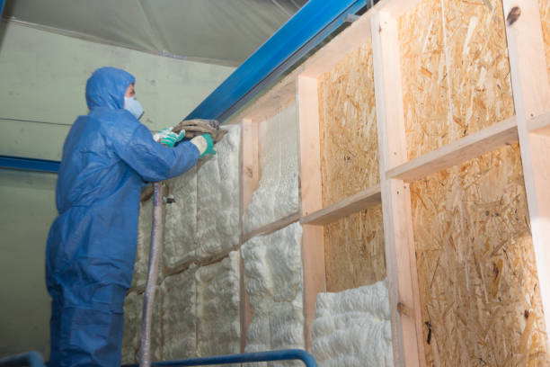 Best Garage Insulation Installation  in Momence, IL