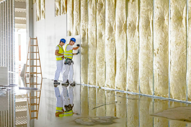 Best Spray Foam Insulation  in Momence, IL